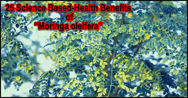 25 Science Based Health Benefits of Moringa oleifera