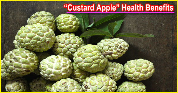 15 Amazing Custard Apple Health Benefits