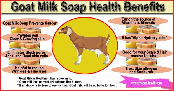 15 Goat Milk Soap Health Benefits