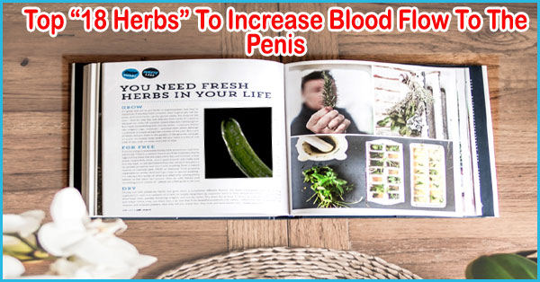 Herbs to increase blood flow to the penis