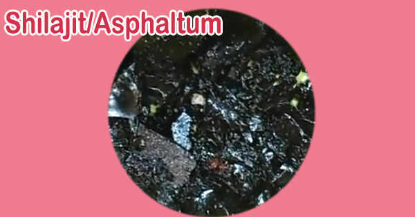 asphaltum/herbs to increase to blood flow to the penis