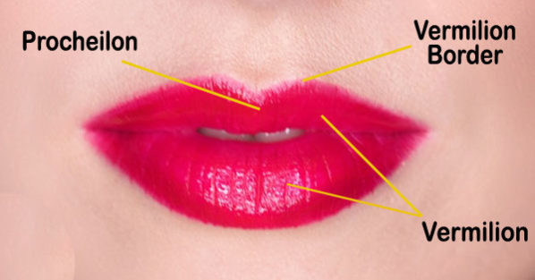 home remedies for healthy pink lips